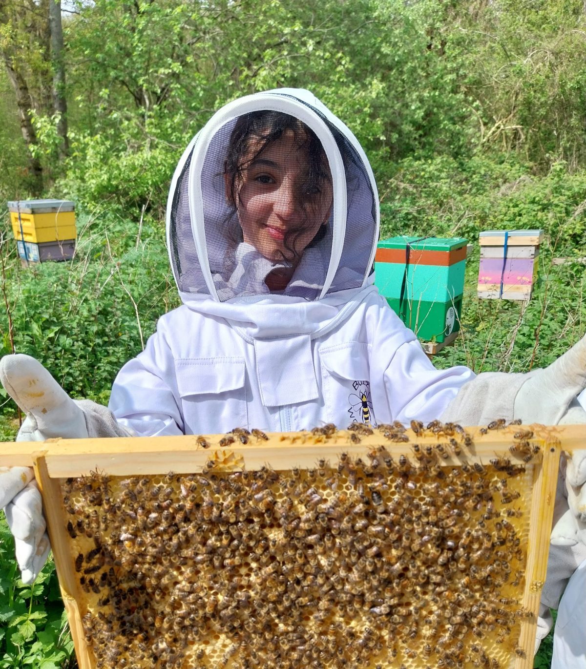 Child wearing bee keeping outfit, holding up bee frame